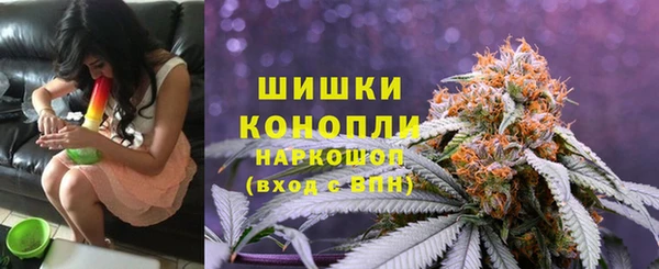 гидропоника Абаза