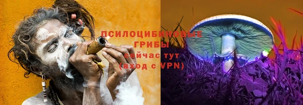 mix Абинск